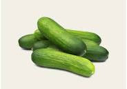 Cucumber Lebanese Per Kg