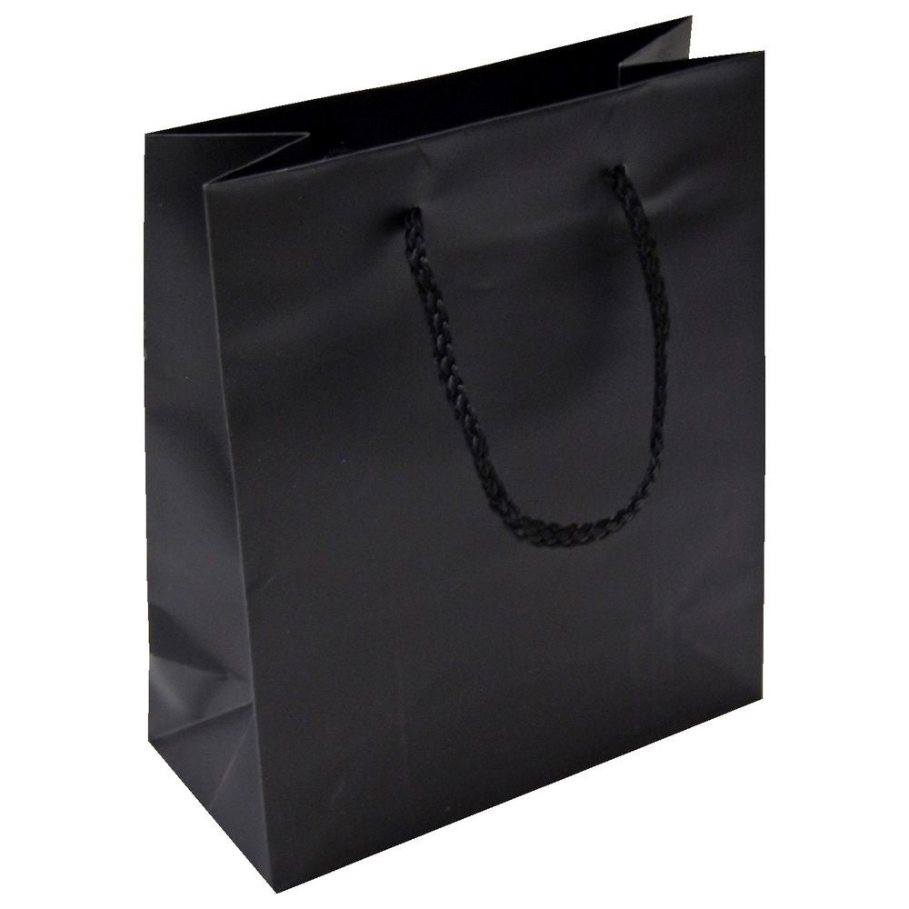 Gift Bag Large Miscellaneous