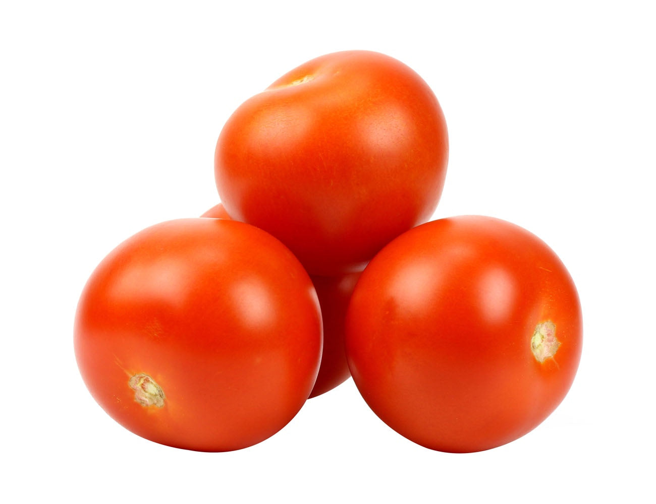 Tomato Gourmet Per Each