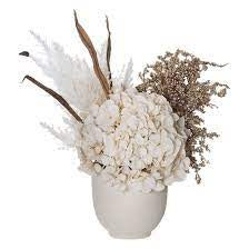 Dried Arrangement Hydrangea with Pot Brown/Cream 45cm